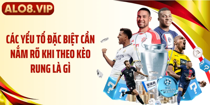 Các yếu tố đặc biệt cần nắm rõ khi theo kèo rung là gì