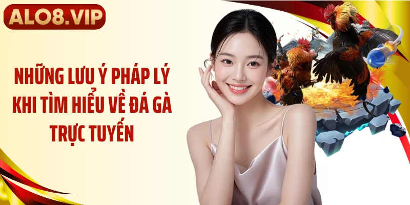 Những lưu ý pháp lý khi tìm hiểu về đá gà trực tuyến