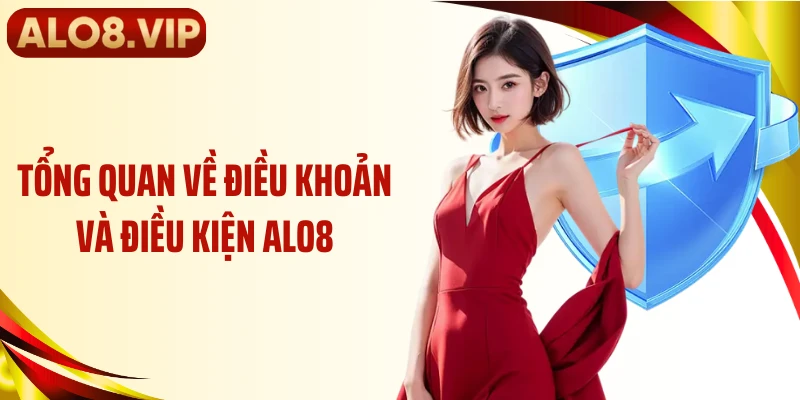 Tổng quan về điều khoản và điều kiện ALO8