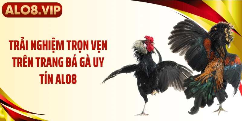 Trải nghiệm trọn vẹn trên trang đá gà uy tín ALO8