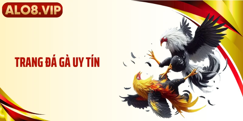 Trang Đá Gà Uy Tín ALO8 - Đạt Tiêu Chuẩn Vận Hành Ổn Định